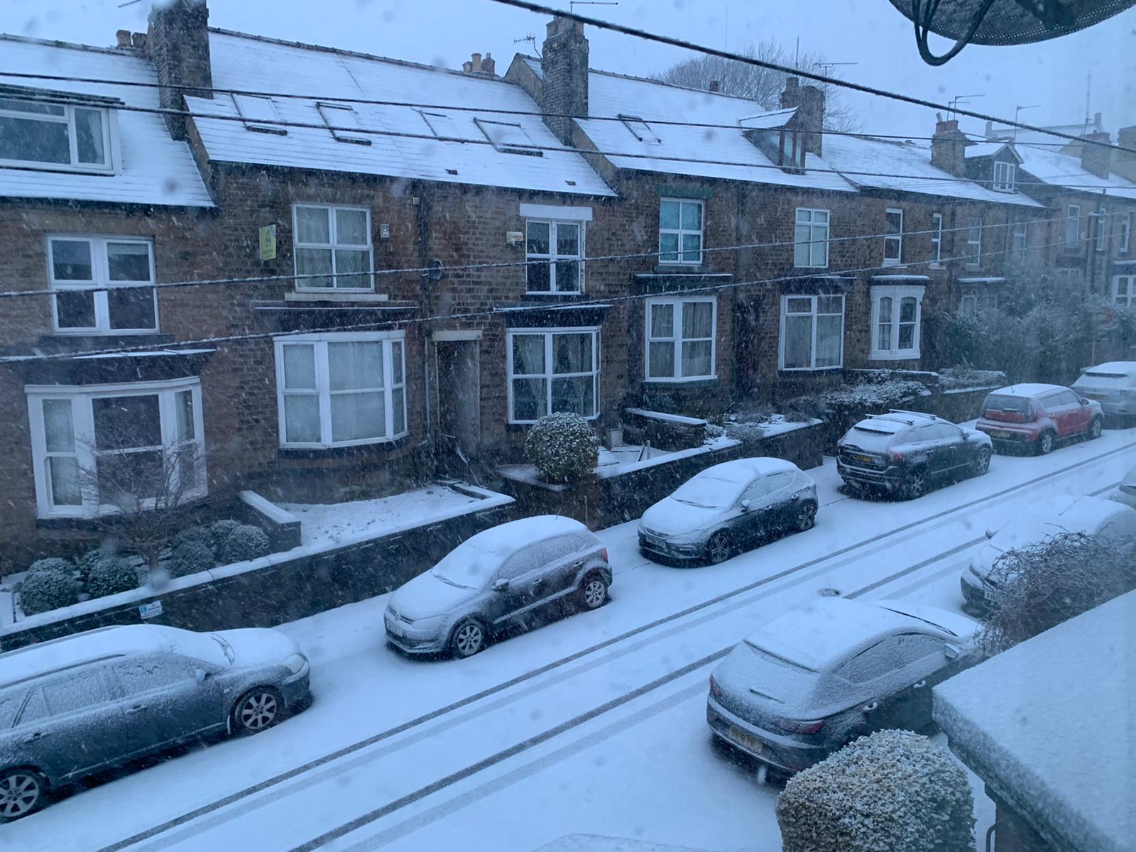 Snow brings Sheffield city centre to a standstill | The Star