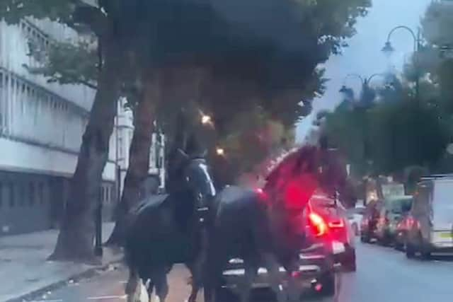 Screen grabs showing the bizarre moment three horses galloped through traffic - in the middle of London. 