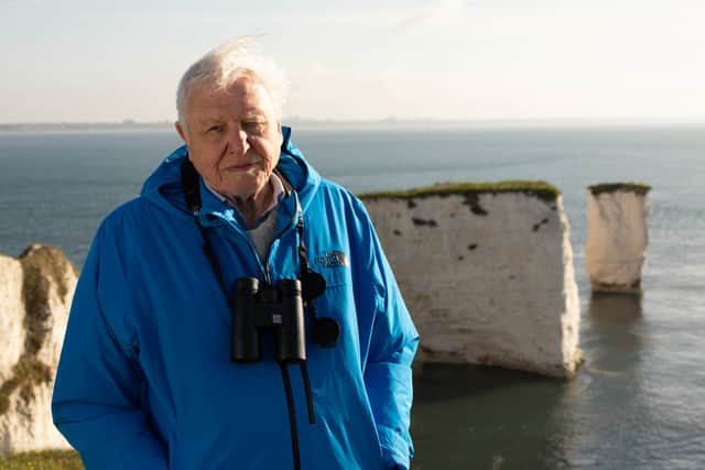 Sir David Attenborough will star in a new BBC documentary on the UK’s prehistoric era