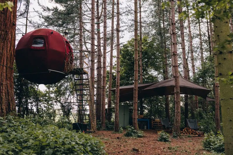 The Sleepy Explorer's Globe Treehouse 