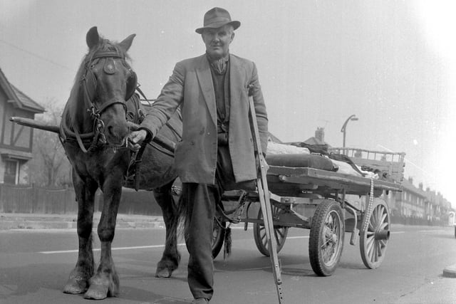 Francis Marshall, in 1971, with his horse Rudolph which he hired for his daily round of estates in Sunderland.
For more than 40 years Mr Marshall collected rags and scrap with his horse and cart. 