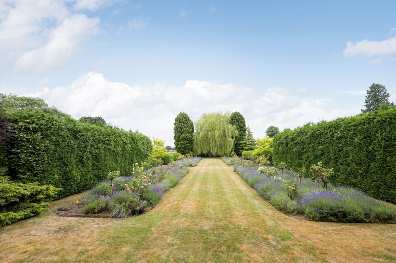 The rear garden