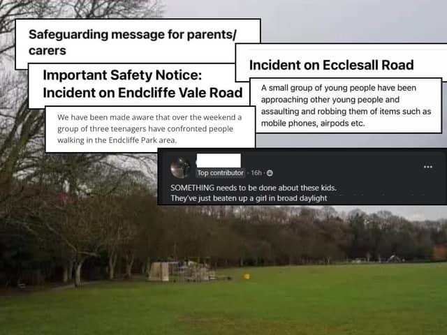 A total of at least seven letters have been sent home to parents by Sheffield schools over violence at the hands of teenagers in Endcliffe Park.