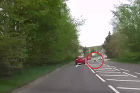 Deer runs across busy main road causing car to swerve.