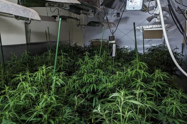 The Shiregreen cannabis farm had a street value of £60,000, police said