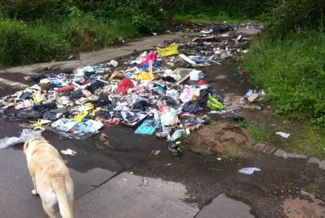 Fly-tipping near a canal in Tinsley