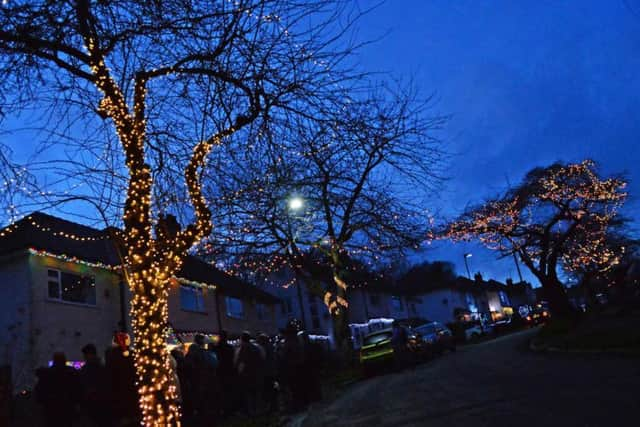 Illuminated trees in Abbeydale Park Rise.