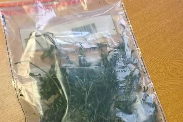 Cannabis seized by Sheffield North East NHP