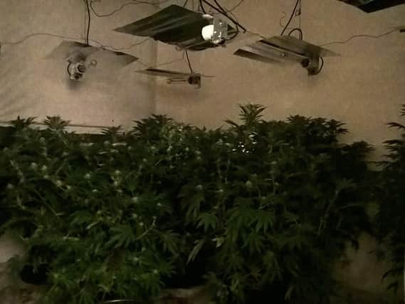 Cannabis was found on every floor of the property. Picture: Sheffield West NHP