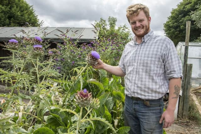 Whirlow Hall Farm 
Farm to Fork
Ash Malia (farm manager) checking some of the artichokes growing in the market garden