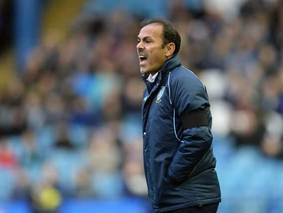 Owls Manager Jos Luhukay ......Pic Steve Ellis