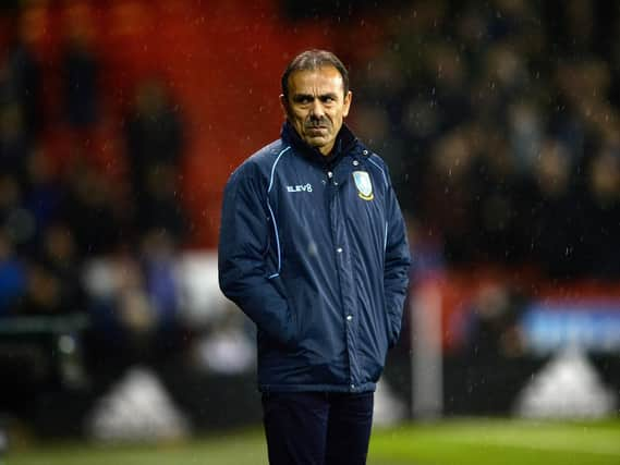 Owls Manager Jos Luhukay....Pic Steve Ellis.