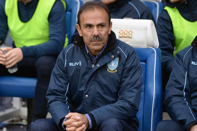 Owls Manager Jos Luhukay.....Pic Steve Ellis