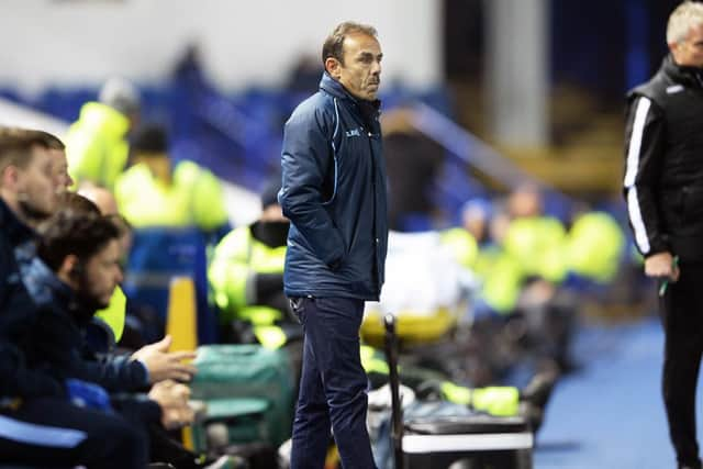 Owls Manager Jos Luhukay....Pic Steve Ellis