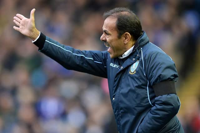 Owls Manager Jos Luhukay. Pic Steve Ellis