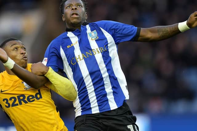 Owls forward Lucas Joao