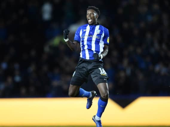 Lucas Joao. Pic Steve Ellis