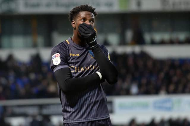 Lucas Joao celebrates his last minute winner at Ipswich Town