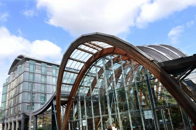 Sheffield Winter Garden