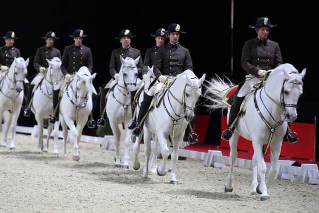 The Spanish Riding School of Vienna at Sheffield Arena