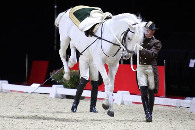 The Spanish Riding School of Vienna media call at Sheffield Arena