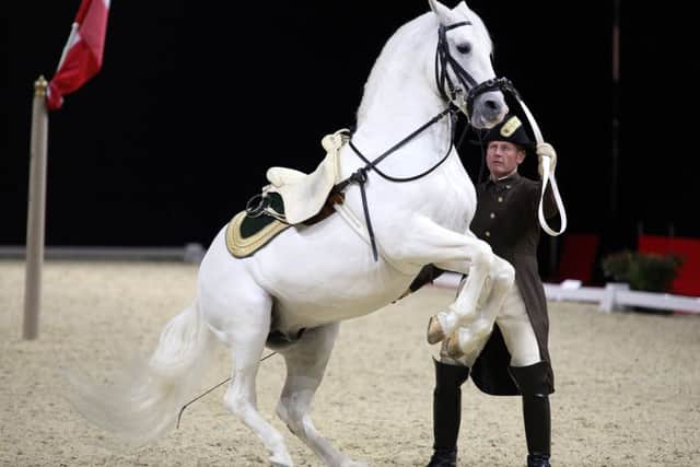 The Spanish Riding School of Vienna at Sheffield Motorpoint Arena