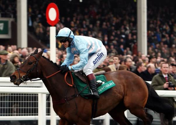 Flashback:  Cheltenian wins the Weatherbys Champion Bumper  at Cheltenham.