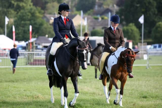 Bakewell Show 2015. Riders getting ready in ring 1 for class 63 training stakes class.