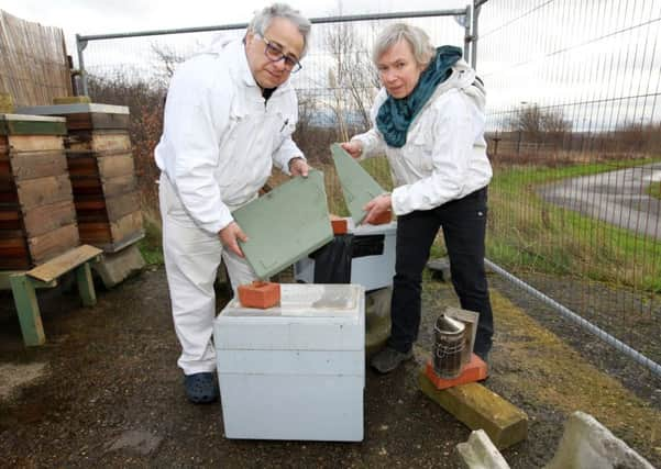 Phil Khorassandjian and Cathy Butcher at the apiary tartgeted by vandals