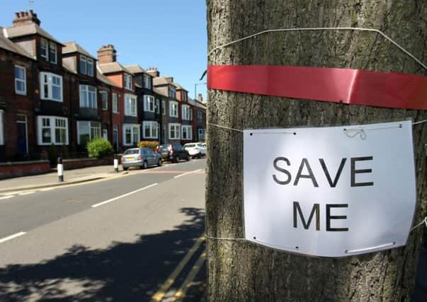 Save the trees campaign on Rustlings Road in Sheffield