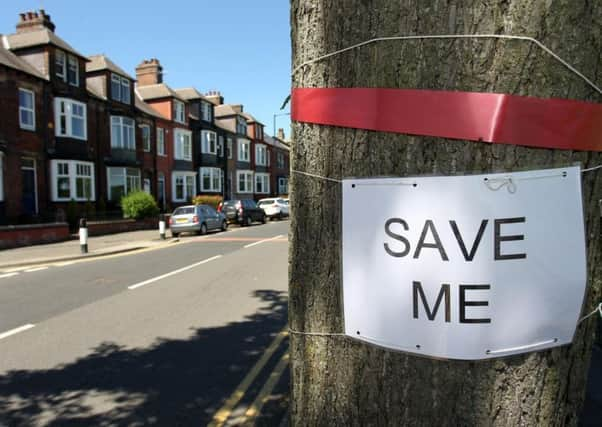 Save the trees campaign on Rustlings Road in Sheffield