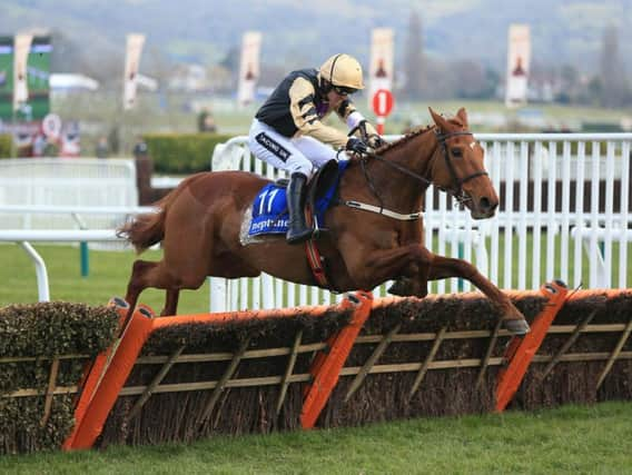 Yorkhill ridden by Ruby Walsh jumps the last fence on the way to winning the Neptune Investment Management Novices' Hurdle during Ladies Day of the 2016 Cheltenham Festival