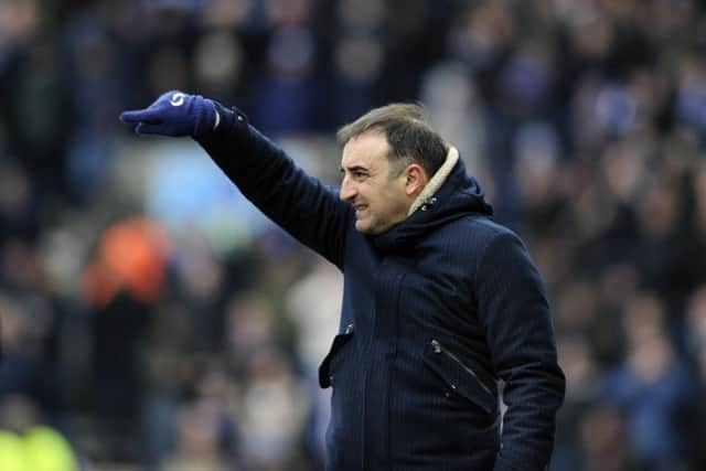 Owls head coach Carlos Carvalhal