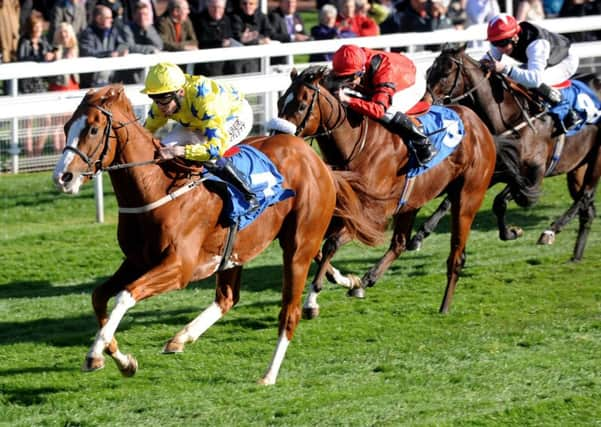 Pearl Secret is tipped to repeat last year's Temple Stakes triumph at Haydock at a good price. Photo: Anna Gowthorpe/PA Wire