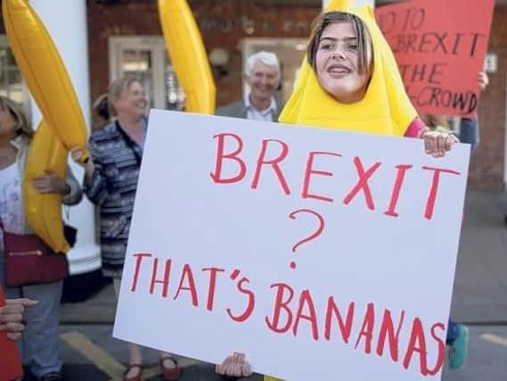 Remain supporters dressed as bananas at a protest