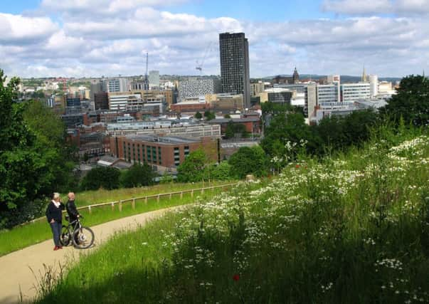 Sheaf Valley Park: looking at the view from the path to the cholera monument