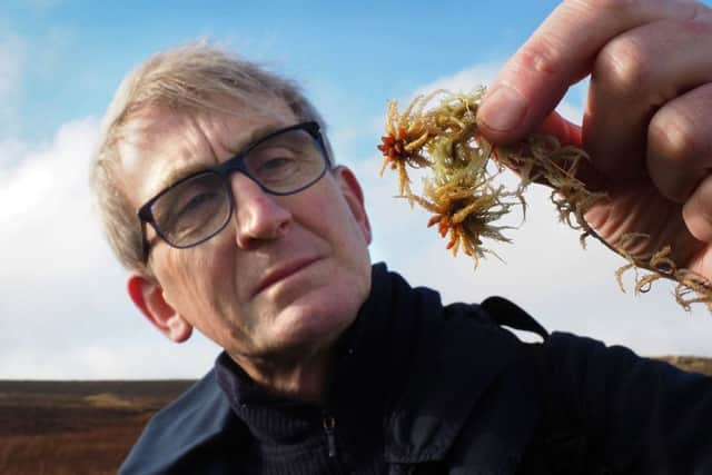 Dr Paul Ardron examining some blunt-leaved bogmoss