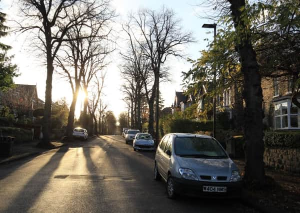 Trees on Montgomery Road, Nether Edge.