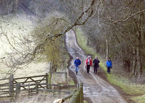 Country Walk  Pic: Zsuzsanna Bird