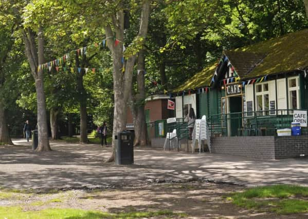 Endcliffe Park, the scene of a stabbing, in a wooded area behind the Cafe. Picture: Marie Caley