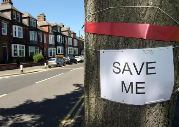 Save the trees campaign on Rustlings Road in Sheffield