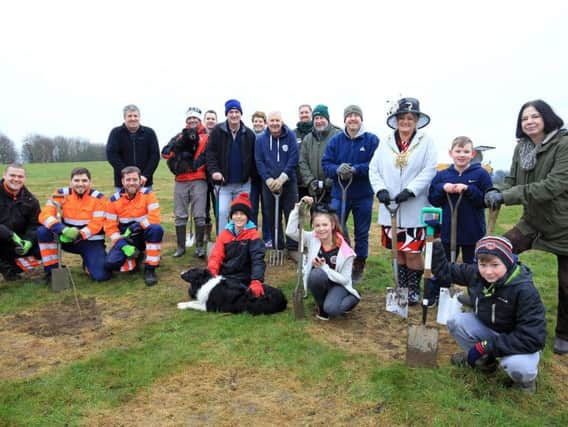 Lord Mayor of Sheffield Denise Fox plants trees with volunteers.