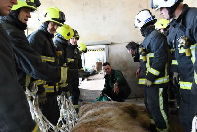 Crews from all over the country descended on Doncaster for the check-up.