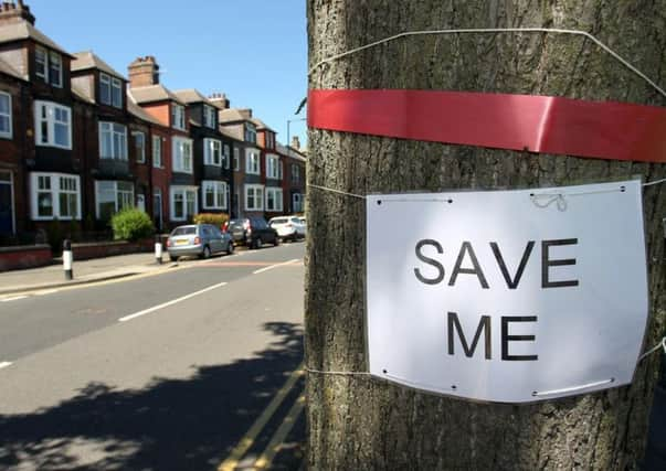 Save the trees campaign on Rustlings Road in Sheffield