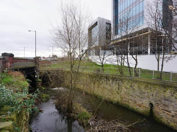 The River Sheaf briefly emerges near the Digital Campus.