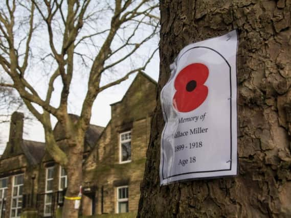 War memorial trees in Western Road.