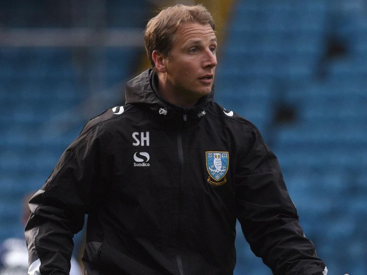 Sheffield Wednesday: Ex-Owls star Steve Haslam takes over from Dean  Ramsdale as head of Wednesday academy