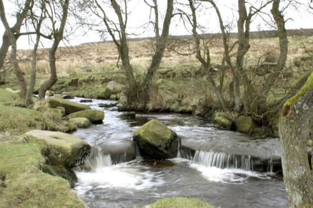 Padley Gorge.