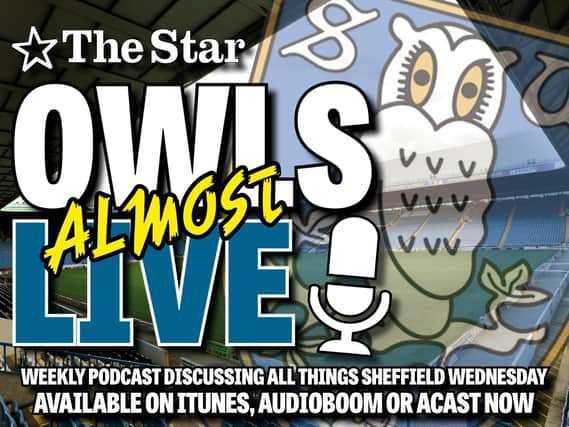 Owls (Almost) Live