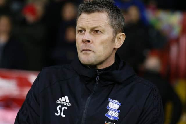 Steve Cotterill